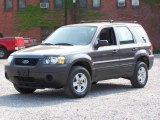 2005 Dark Shadow Grey Metallic Ford Escape XLS #16221566