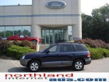 2005 Moonlit Blue Hyundai Santa Fe GLS 4WD #16263283
