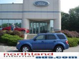 2010 Sport Blue Metallic Ford Escape XLT 4WD #16263269
