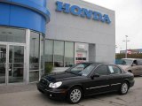 2004 Ebony Black Hyundai Sonata V6 #16325100