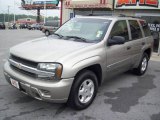 2002 Light Pewter Metallic Chevrolet TrailBlazer LS 4x4 #16375863