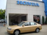 2004 Hazelnut Hyundai Elantra GLS Sedan #16379351