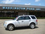 2008 Silver Metallic Ford Escape XLT V6 4WD #16454396