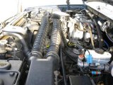 1995 Ford F150 Eddie Bauer Extended Cab 4x4 5.8 Liter OHV 16-Valve V8 Engine