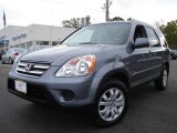 2005 Pewter Pearl Honda CR-V Special Edition 4WD #1671641