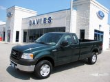 2007 Ford F150 XL Regular Cab 4x4