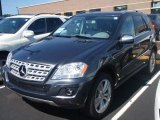 2010 Steel Grey Metallic Mercedes-Benz ML 350 4Matic #16761109