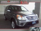 2006 Pewter Pearl Honda CR-V SE 4WD #16762145