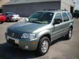 Light Tundra Metallic Mercury Mariner in 2006