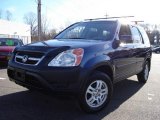 2002 Eternal Blue Pearl Honda CR-V EX 4WD #1683051