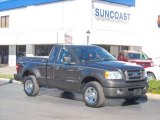 2006 Ford F150 STX Regular Cab Flareside Data, Info and Specs