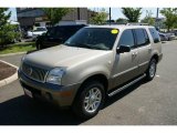 2004 Light French Silk Metallic Mercury Mountaineer Convenience AWD #17194529