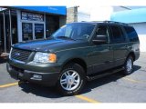 2005 Estate Green Metallic Ford Expedition XLT 4x4 #17313102