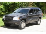 1999 Deep Slate Pearl Jeep Grand Cherokee Limited 4x4 #17324588