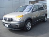 2002 Pewter Metallic Buick Rendezvous CX #17403123