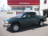 2001 Forest Green Pearl Dodge Dakota SLT Quad Cab 4x4 #17402714