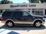 Dark Stone Metallic Ford Expedition in 2006
