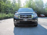 2009 Black Ford Escape XLT V6 #17416397