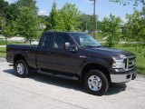 Dark Stone Metallic Ford F250 Super Duty in 2006