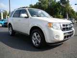 2010 White Suede Ford Escape Limited V6 #17628069