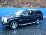 2005 Black Raven Cadillac Escalade ESV AWD #1755453