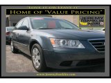 2009 Willow Gray Hyundai Sonata GLS V6 #17623595