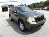 2009 Jeep Green Metallic Jeep Grand Cherokee Laredo 4x4 #17631131