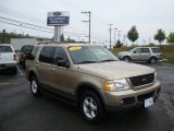 2002 Harvest Gold Metallic Ford Explorer XLT 4x4 #17693508