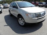 2007 Light Sage Metallic Ford Edge SE #17742341