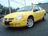 2004 Solar Yellow Dodge Neon SXT #17828250