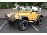 2003 Inca Gold Metallic Jeep Wrangler Sport 4x4 #17898443