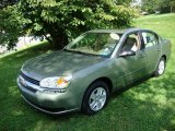 2005 Silver Green Metallic Chevrolet Malibu LS V6 Sedan #18020534