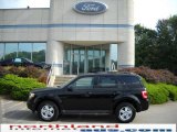 2010 Black Ford Escape XLT 4WD #18023363