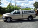 2004 Light Almond Pearl Dodge Ram 1500 ST Regular Cab #18030979