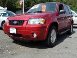 2007 Redfire Metallic Ford Escape XLT V6 4WD #18032250