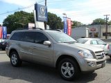 2007 Pewter Metallic Mercedes-Benz GL 450 #18024511