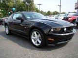 2010 Black Ford Mustang GT Coupe #18029797