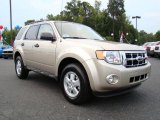 2010 Ford Escape XLT Data, Info and Specs