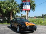 2010 Black Ford Mustang GT Premium Coupe #18100742