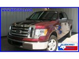 2009 Ford F150 XLT SuperCrew