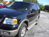 2003 Black Clearcoat Ford Expedition Eddie Bauer #18236013
