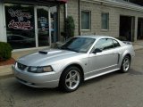 2004 Silver Metallic Ford Mustang GT Coupe #18231598