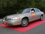 2009 Light French Silk Metallic Lincoln Town Car Signature Limited #18228246