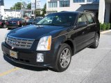 2004 Moonstone Metallic Cadillac SRX V8 #18284796