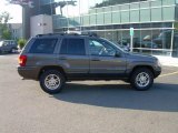 1999 Taupe Frost Metallic Jeep Grand Cherokee Limited 4x4 #18291796