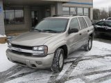 2002 Light Pewter Metallic Chevrolet TrailBlazer LS 4x4 #1826857