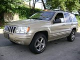 2001 Champagne Pearl Jeep Grand Cherokee Limited 4x4 #18446587