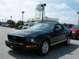 2006 Black Ford Mustang V6 Premium Coupe #18440813