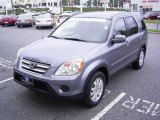 2006 Pewter Pearl Honda CR-V SE 4WD #18452930