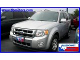 2009 Brilliant Silver Metallic Ford Escape Limited V6 #18511556